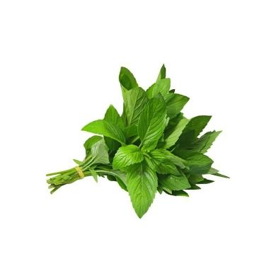 Mint Leaf 100g