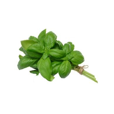 Basil 50g