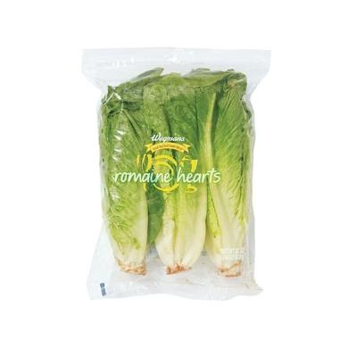 Fresh& Co Organic Lettuce 100g