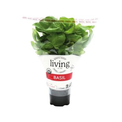 Farm Fresh Basil 100g