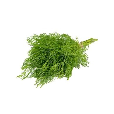 Fennel 500g